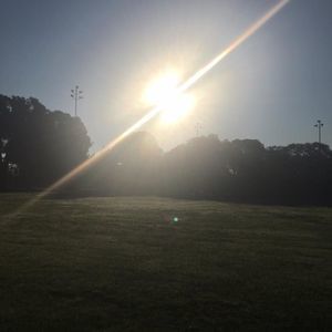 Meet your Posher, Melody